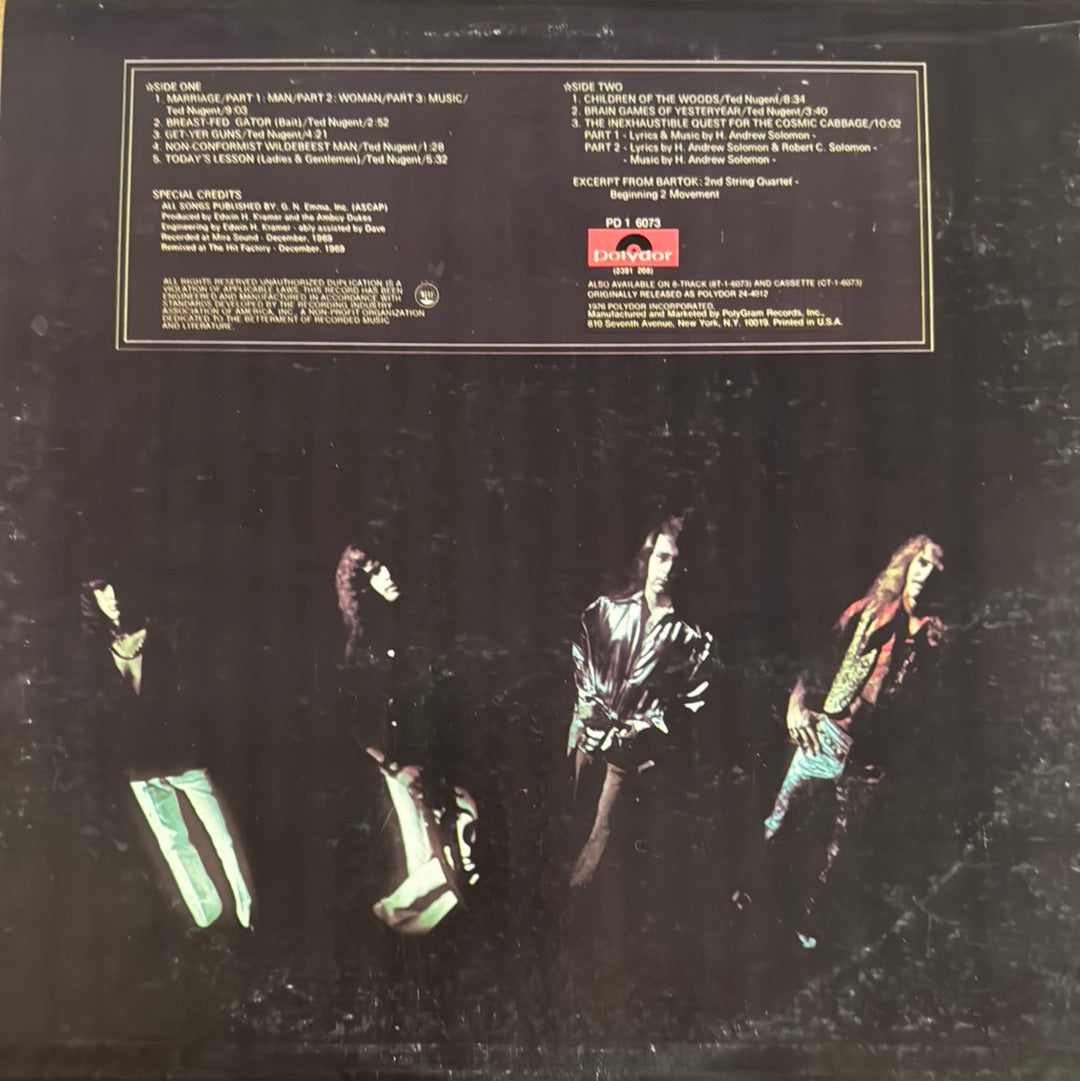MARRIAGE ON THE ROCKS Ted Nugent and the Amboy Dukes