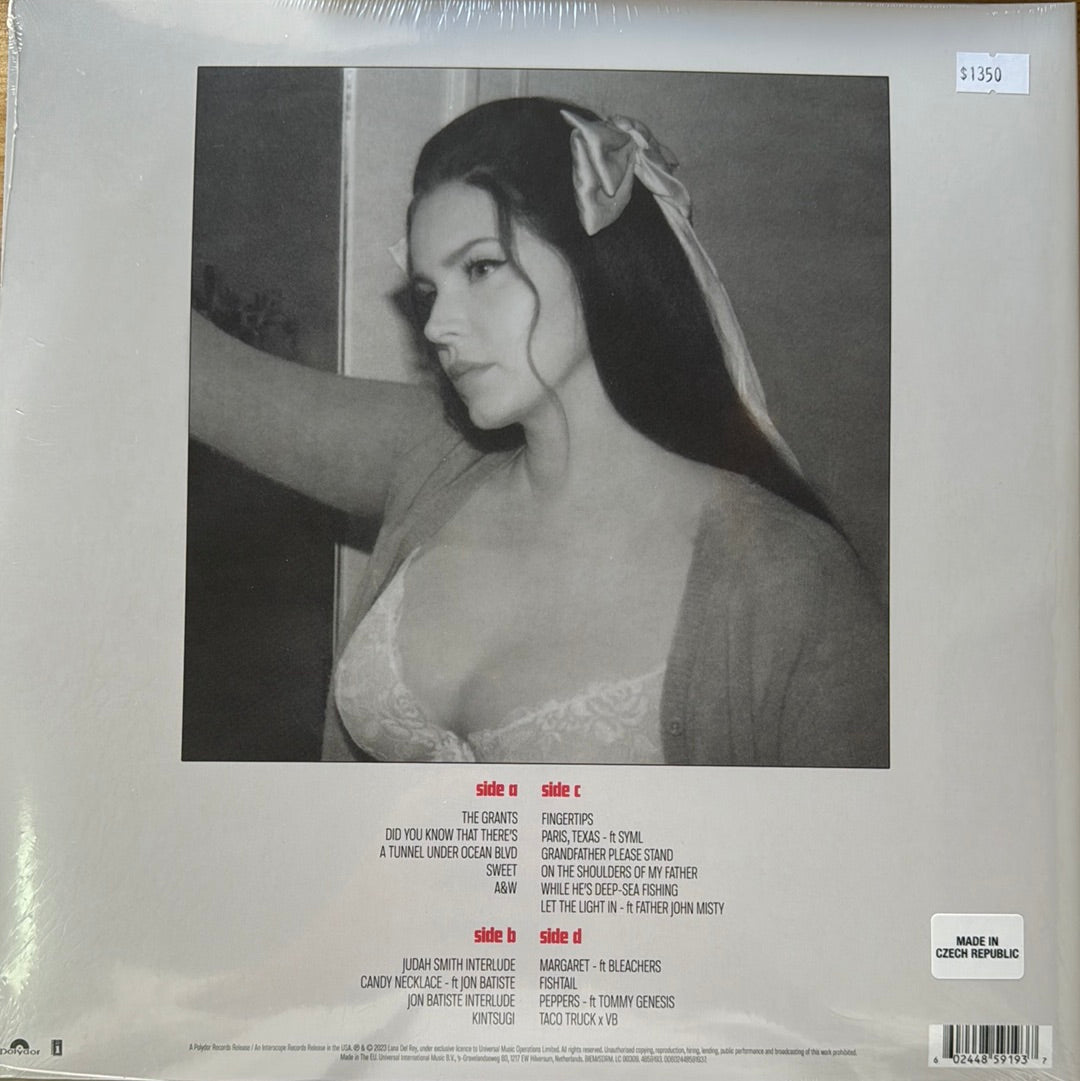 DID YOU KNOW THAT THERE’S A TÚNEL Lana Del Rey
