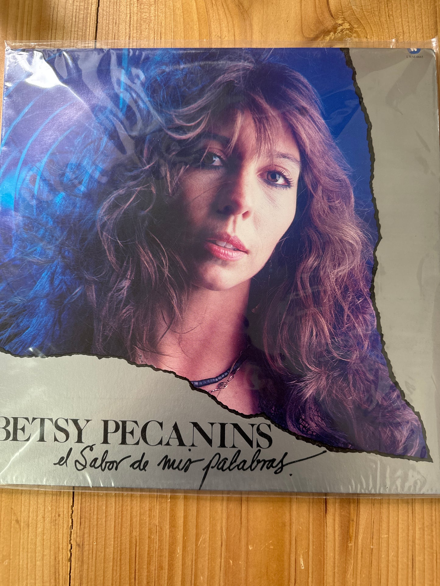 EL SABOR DE MIS PALABRAS Betsy Pecanins